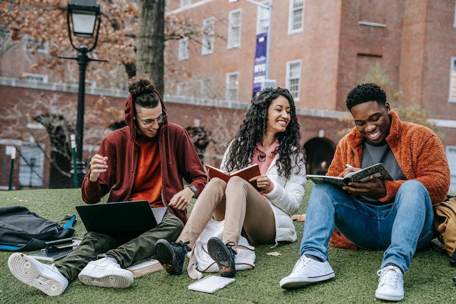 Three young adults studying and interacting with each other on a green lawn with a campus building and streetlamp in the background.
